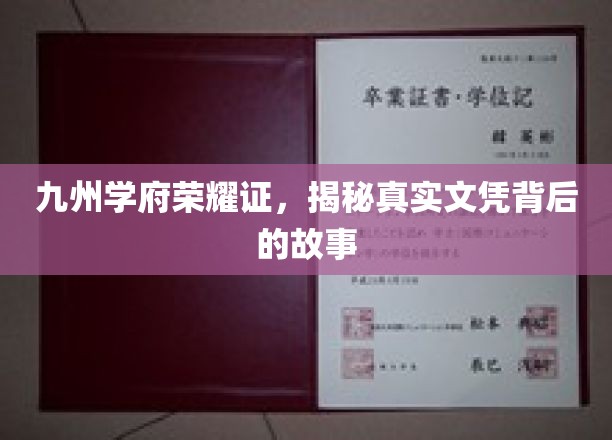 文凭背后，九州学府的荣耀与真实历程揭秘