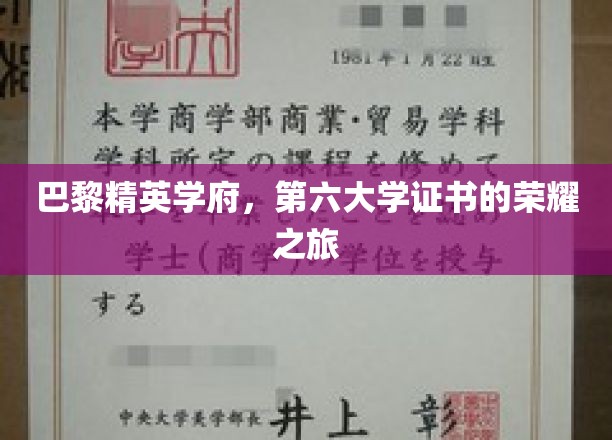 探寻巴黎第六大学精英证书，一场荣耀与知识的交织之旅