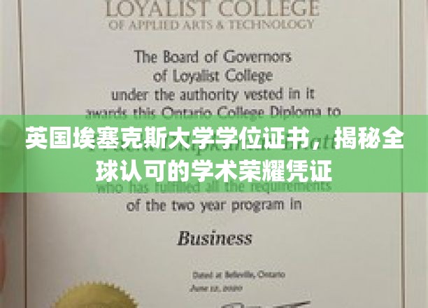 跨国认可荣耀，英国埃塞克斯大学学位证书的全球魅力