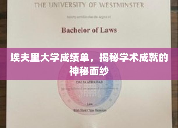 解锁埃夫里大学成绩单，一窥学术辉煌背后的秘密世界